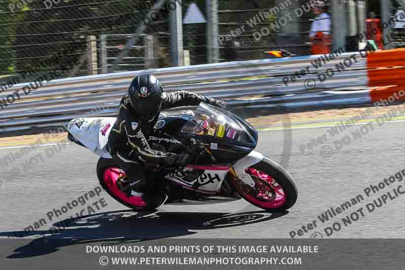 brands hatch photographs;brands no limits trackday;cadwell trackday photographs;enduro digital images;event digital images;eventdigitalimages;no limits trackdays;peter wileman photography;racing digital images;trackday digital images;trackday photos